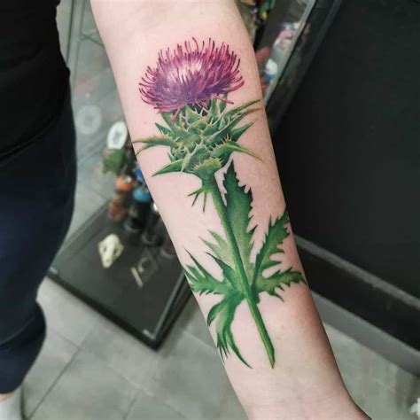 The Top 71 Best Scottish Tattoo Ideas - [2021 Inspiration Guide]