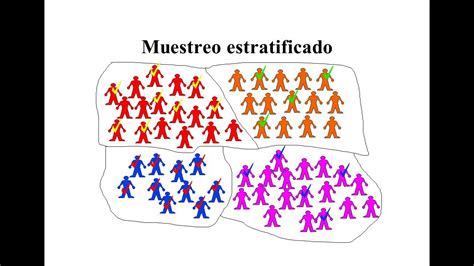 Muestreo Estratificado y Conglomerado - YouTube