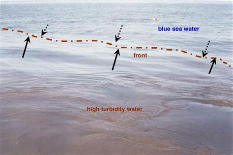 A close view of the surface high turbidity water showing the front of ...