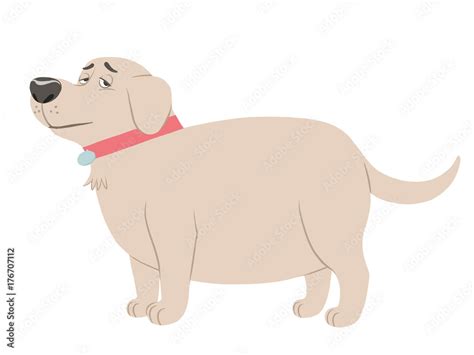 Free clip fat dogs, Download Free clip fat dogs png images, Free ...