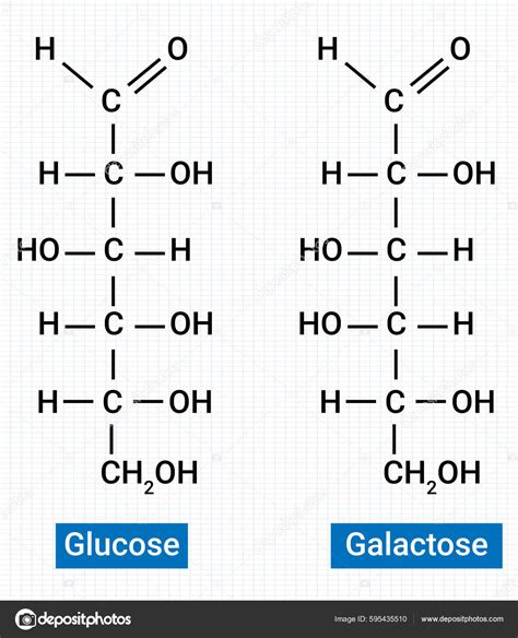 Chemical Structure Glucose Galactose Stock Vector Image by ©samjore ...