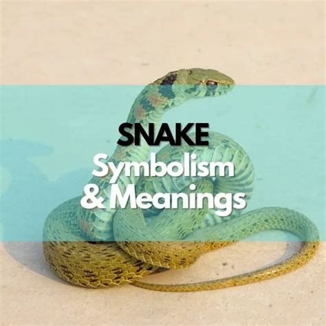 Snake: Symbolism, Meanings, and History - Symbol Genie