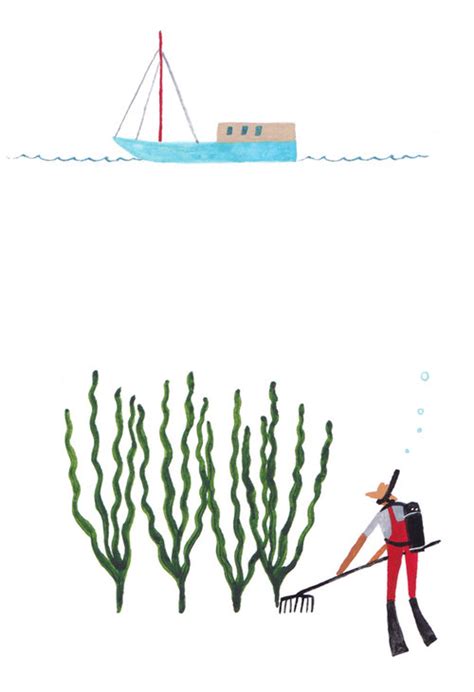 An Illustrated Guide to Seaweed Farming — Matters Journal