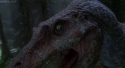 Jurassic Park GIF - Find & Share on GIPHY