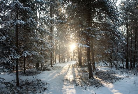 'Winter Wonderland', United States, Wisconsin, Phillips, N… | Flickr