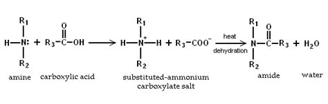 23.3: Reactions of amines - Chemistry LibreTexts