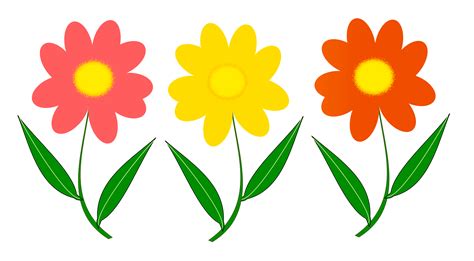 Flower Vector PNG Image | Flower clipart png, Flower drawing, Flower ...