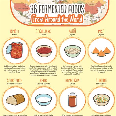 36 Fermented Foods From Around the World | How To Cook.Recipes