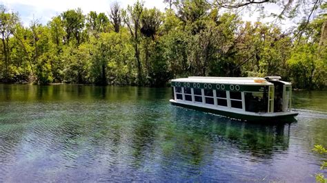 Silver Springs State Park: Wild Monkeys and Glass Bottom Boat Tours ...