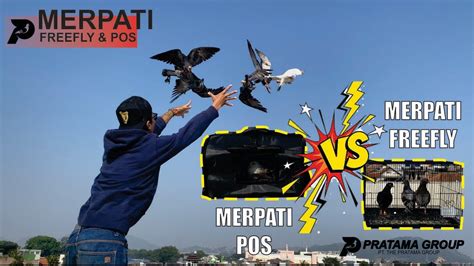 MERPATI POS VS MERPATI FREEFLY - YouTube