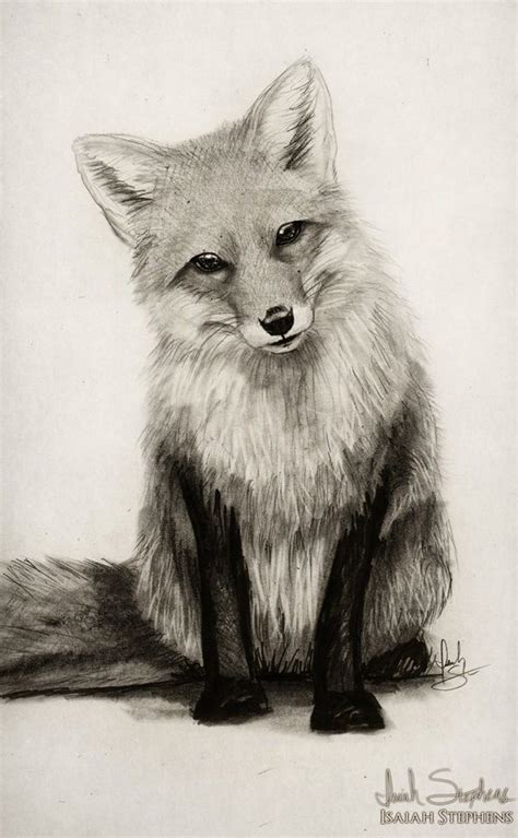 85 Simple And Easy Pencil Drawings Of Animals For Every Beginner