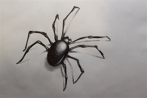 Fotografía, pintura, y lo que nos echen: Araña