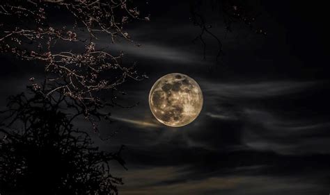 Vancouver photographers share stunning super worm moon photos ...