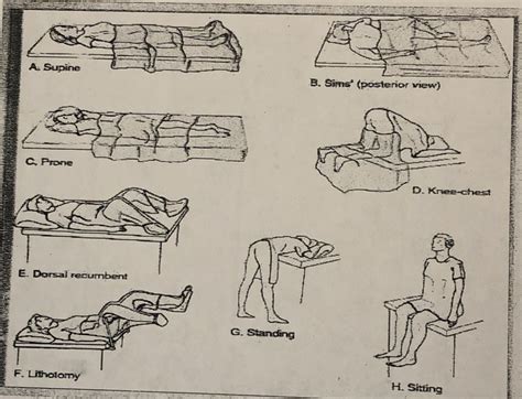 Horizontal Recumbent Position