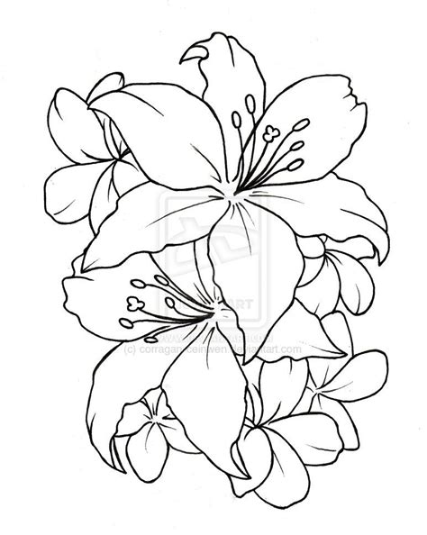 Waktattoos.com | Flower drawing, Simple flower tattoo, Lilly tattoo design