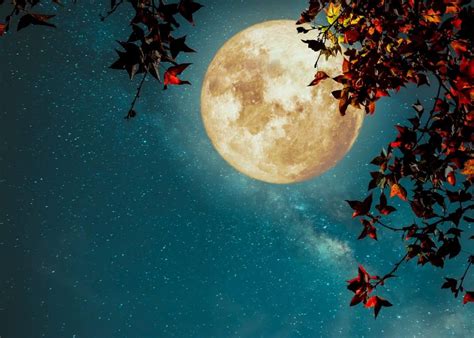 Full Harvest Moon 2020: See the first of October's two full moons tonight