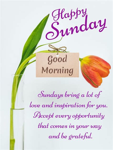 Happy Sunday Messages, Happy Sunday Pictures, Good Morning Sunday ...