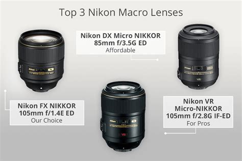 9 Best Macro Lenses for Nikon to Buy in 2024