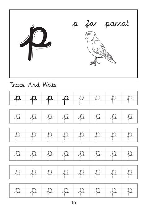 the letter p worksheet with an image of a bird on top of it