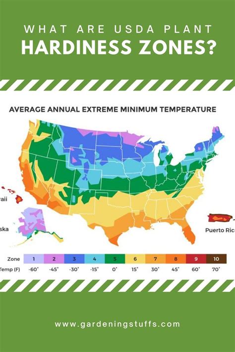 What Are USDA Plant Hardiness Zones? in 2023 | Plant hardiness zone ...