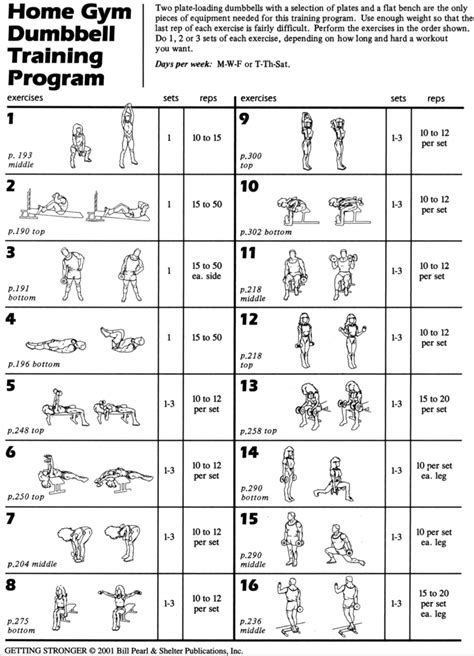 Fitness Guides | Workout Routines for Beginners