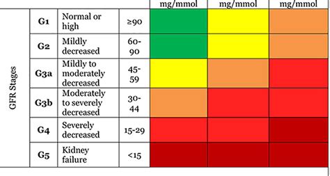 Chronic Kidney Disease Stages