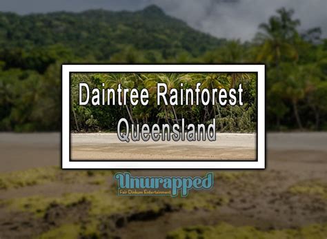 Daintree Rainforest - Queensland