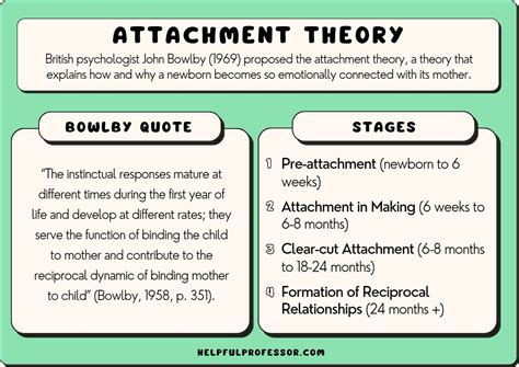 4 Stages of Attachment, Explained! (Bowlby’s Theory) (2024)