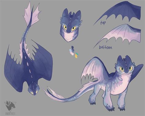 Various Dragon Drawings for Inspiration