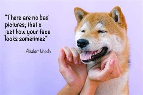 58 Funny Photography Quotes to Brighten Your Day