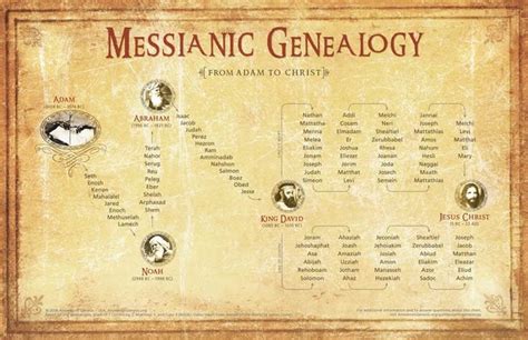 Related image | Genealogy of jesus, Bible genealogy, Messianic