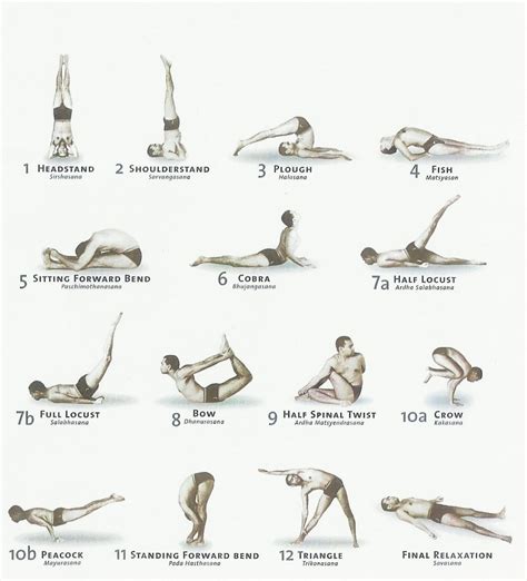 Hatha Yoga Classico - Sivananda Yoga - Yogashanti.it