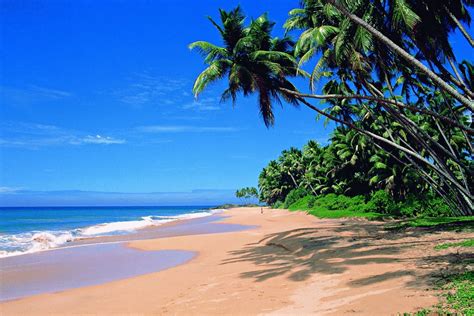 Serenity Beach - Image Copyright @ Wikimedia Foundation | India Travel ...