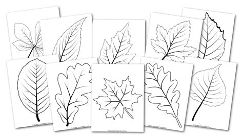 Free Printable Large Leaf Templates, Stencils and Patterns – Simple Mom ...