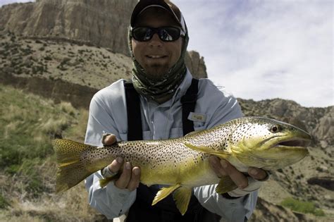 Bighorn River Thermopolis Wyoming Fishing Guides