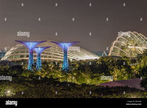 Illuminated Supertrees and Cloud Forest at Night, Gardens by the Bay ...