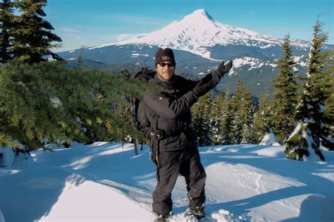 Christmas Tree Permits | Oregon's Mt. Hood Territory