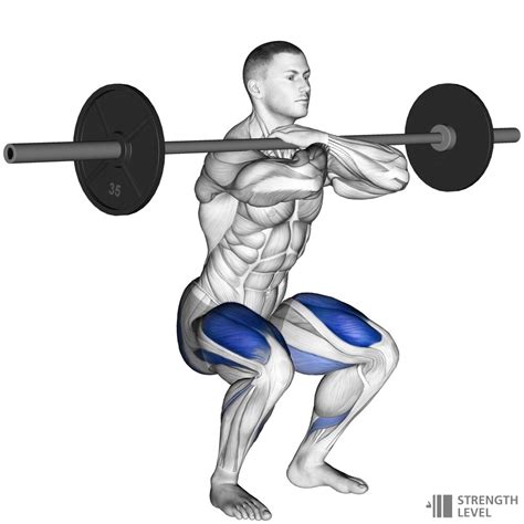 Front Squat Standards for Men and Women (lb) - Strength Level