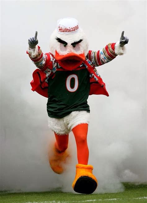 26 best University of Miami Hurricanes - The U images on Pinterest ...