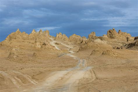 Gobi Desert Plants And Animals