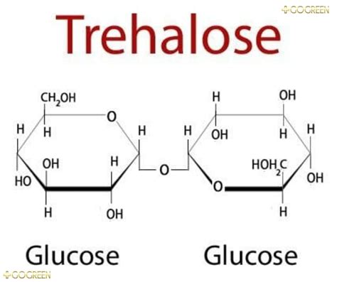 Công dụng của đường Trehalose trong chăm sóc da