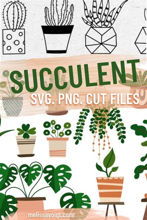 BEST SUCCULENT SVG — melissa voigt