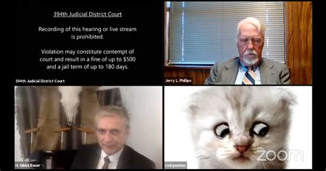 Lawyer Accidentally Uses Cat Camera Filter During Zoom Court Session ...