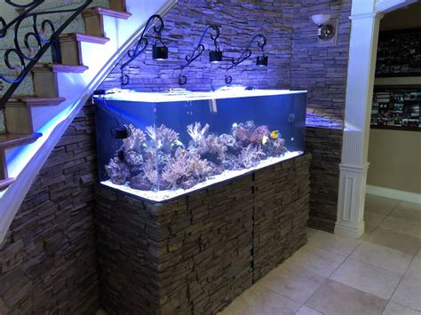 Best Ideas to Arrange an Aquarium or Fish Tank in Home - Live Enhanced