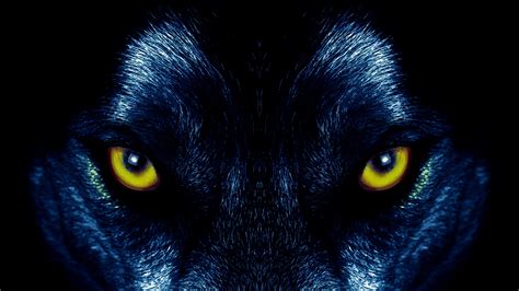 Animal Stare Wolf Wallpaper - Resolution:3840x2160 - ID:1151629 ...