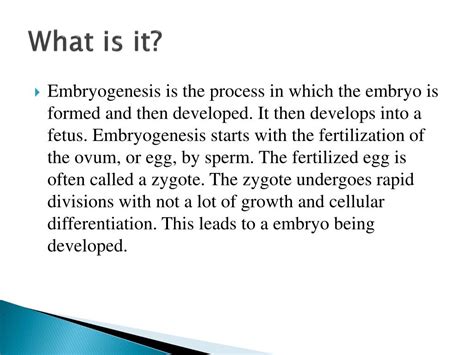 PPT - Embryogenesis PowerPoint Presentation, free download - ID:3842426