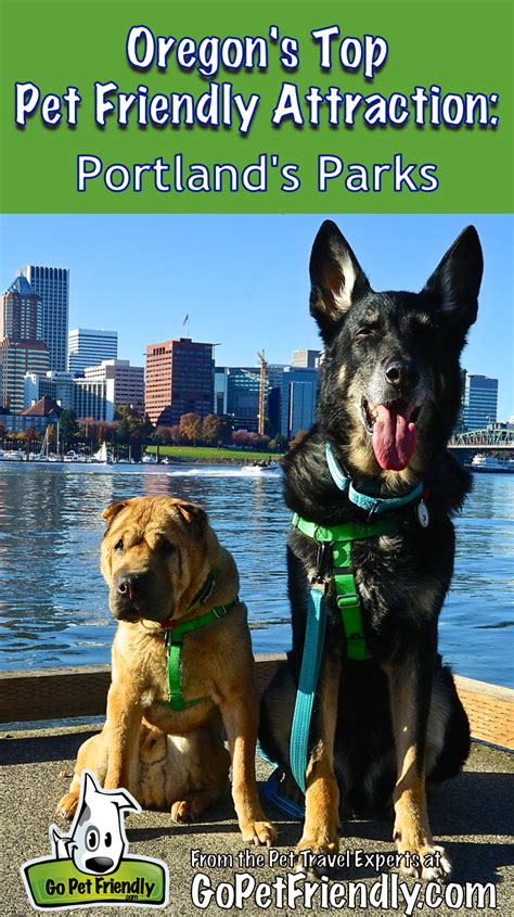 Oregon's Top Pet Friendly Attraction: Portland's Parks | Dog friends ...