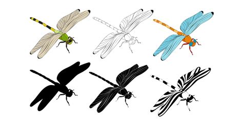 Free Dragonfly Clip Art - Learn About Nature