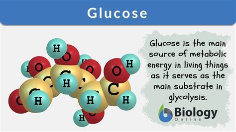 Glucose Definition and Examples - Biology Online Dictionary