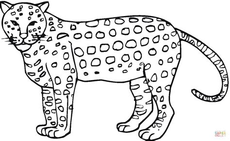 Cheetah 7 coloring page | Free Printable Coloring Pages